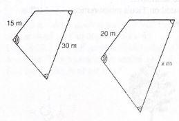 Math Ratios: Scale Drawings and Proportions